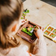 Smart Games Squirrels Go Nuts - immagine 2
